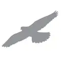 Communications and Development Manager