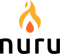 Development Systems & Grants Director